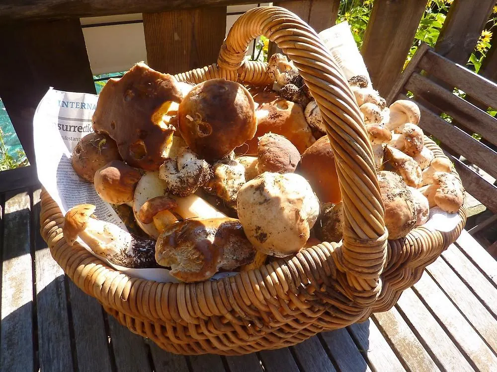 La Bergerie Du Plateau Hotell Cros-de-Géorand Frankrike